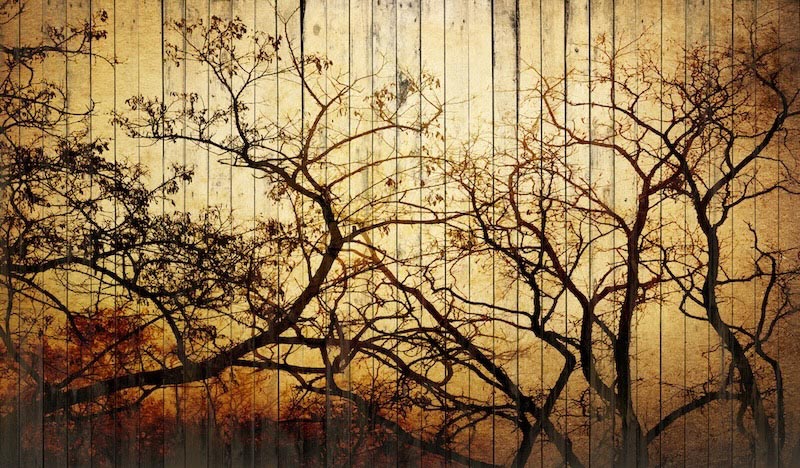 Art sur Mur en Bois wallpaper mural