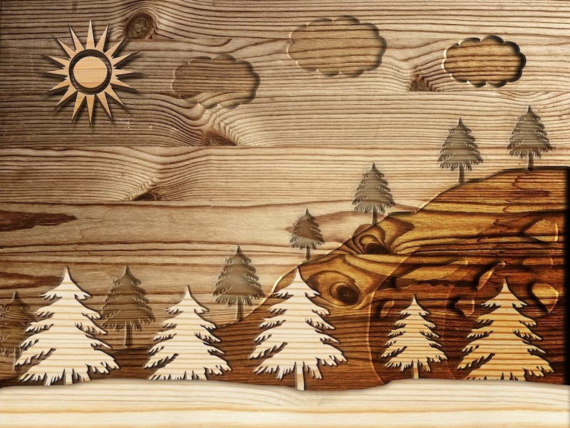 Forêt de Bois wallpaper mural