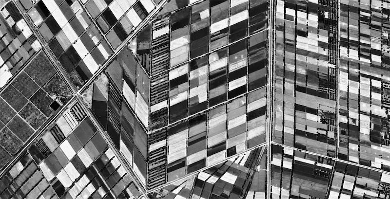 Champs monochromes - Art abstrait wallpaper mural
