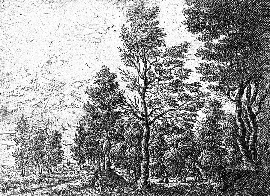 Forêt Gravure Noir et Blanc wallpaper mural