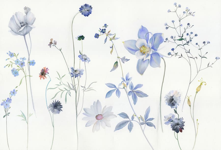 Fleurs Sauvages Bleues Aquarelle wallpaper mural