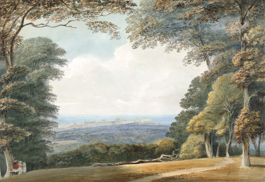 Paysage de Forêt Vintage wallpaper mural