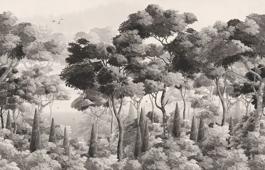 Panoramique Forêt Brumeuse Grise wallpaper mural