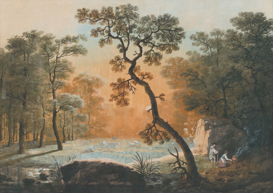 Forêt à l’Arbre Tortueux wallpaper mural