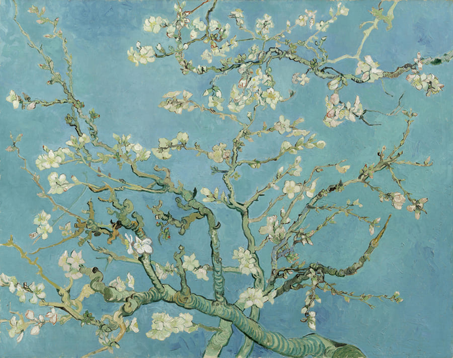 Amandier en Fleurs de Van Gogh wallpaper mural