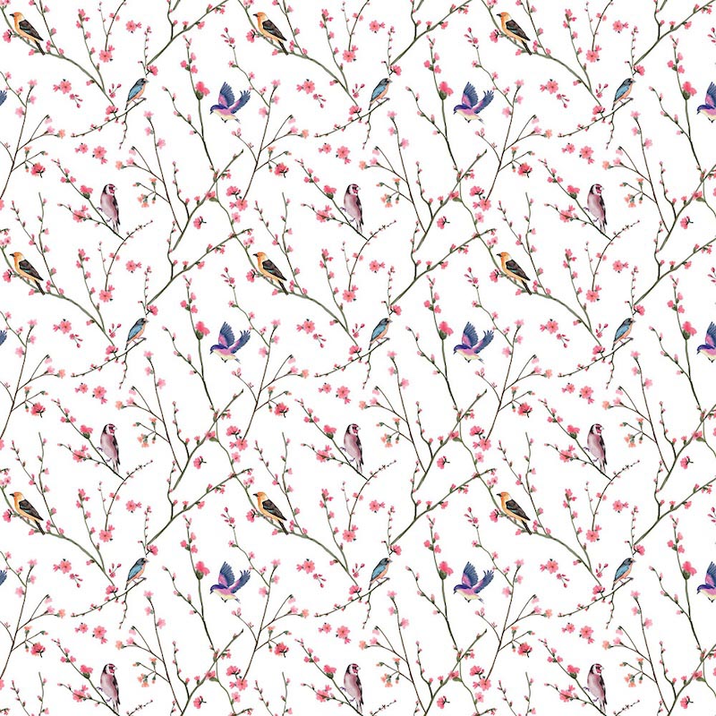 Oiseau sur la Branche wallpaper mural