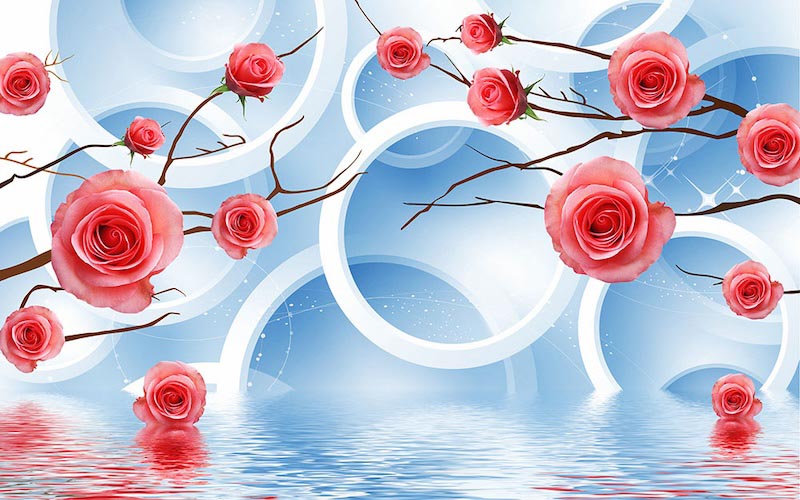 Roses et Cercles wallpaper mural