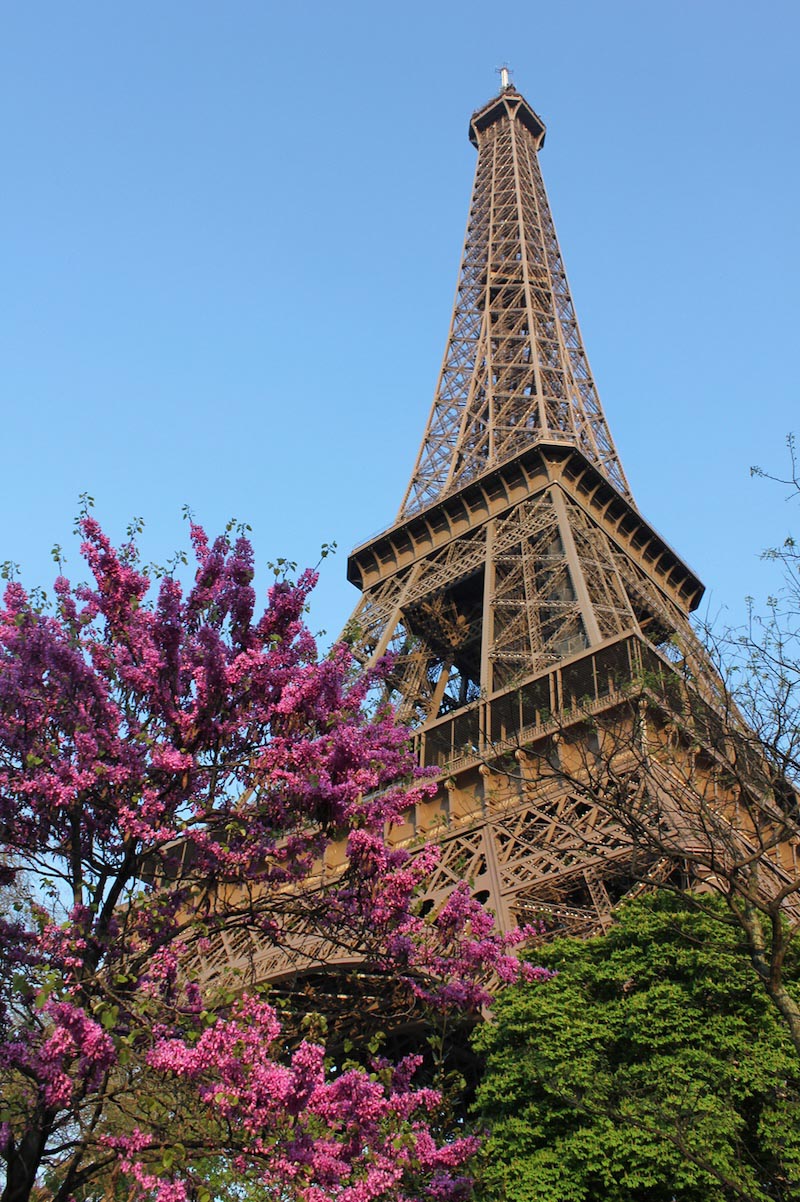 Fleurs à la Tour Eiffel wallpaper mural