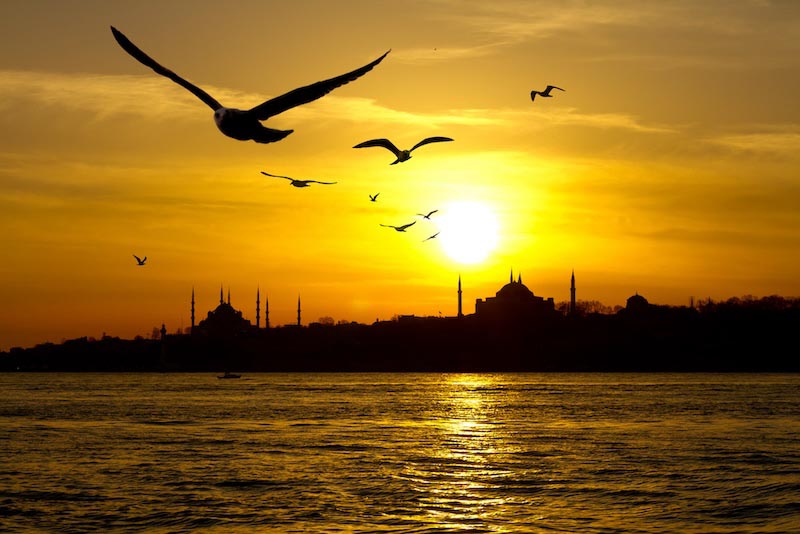 Mouettes d'Istanbul wallpaper mural