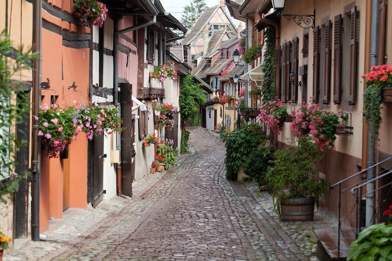 Route des Fleurs wallpaper mural
