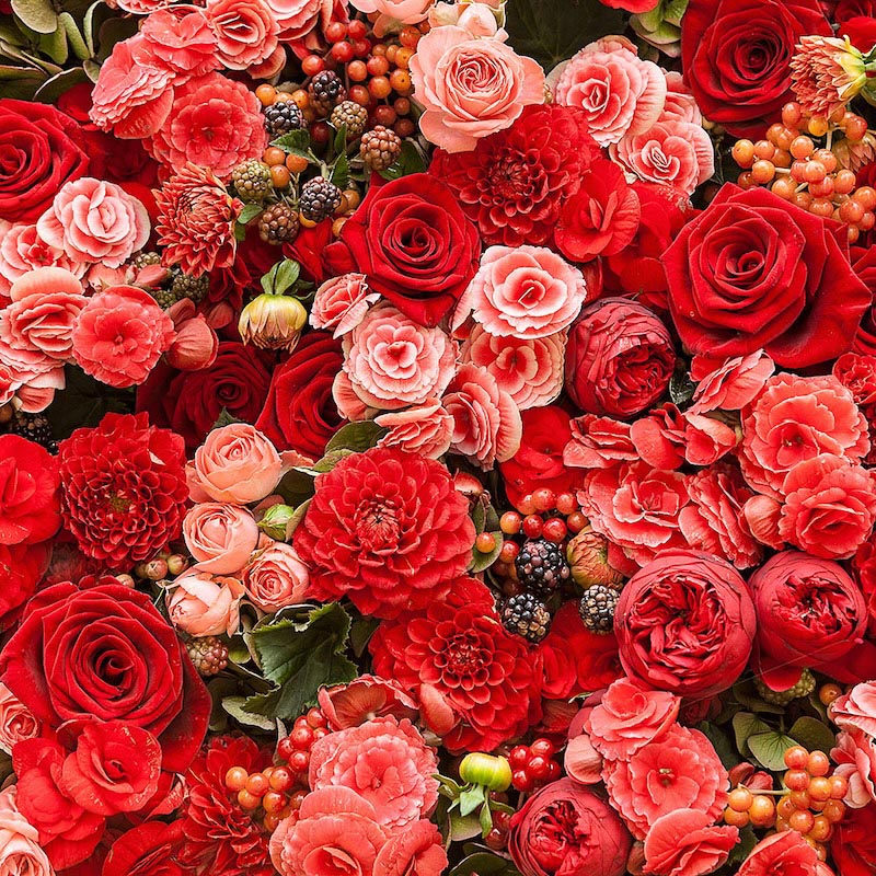 Harmonie des Roses wallpaper mural