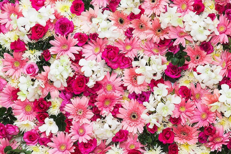 Bouquet de Fleurs Roses wallpaper mural