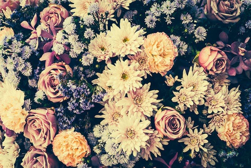 Fleurs Nostalgique wallpaper mural