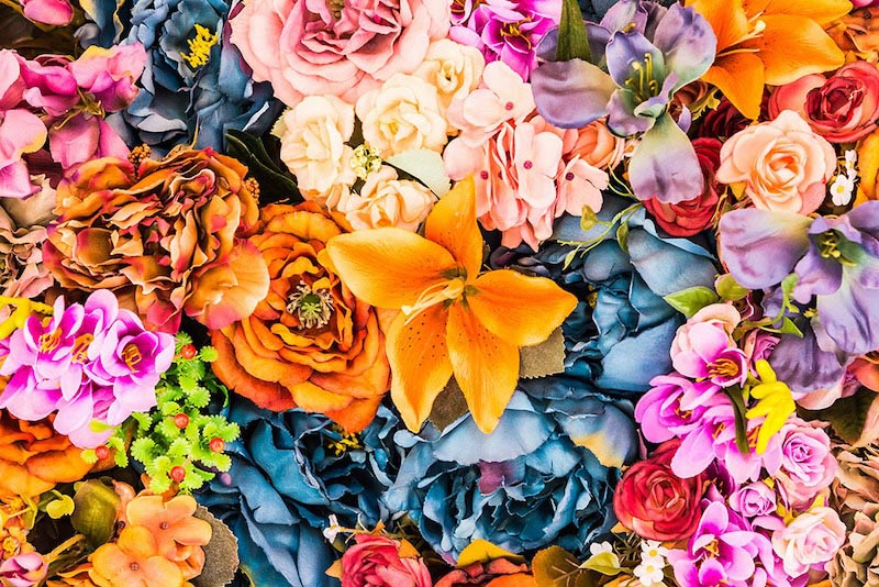 Fleurs Animées wallpaper mural