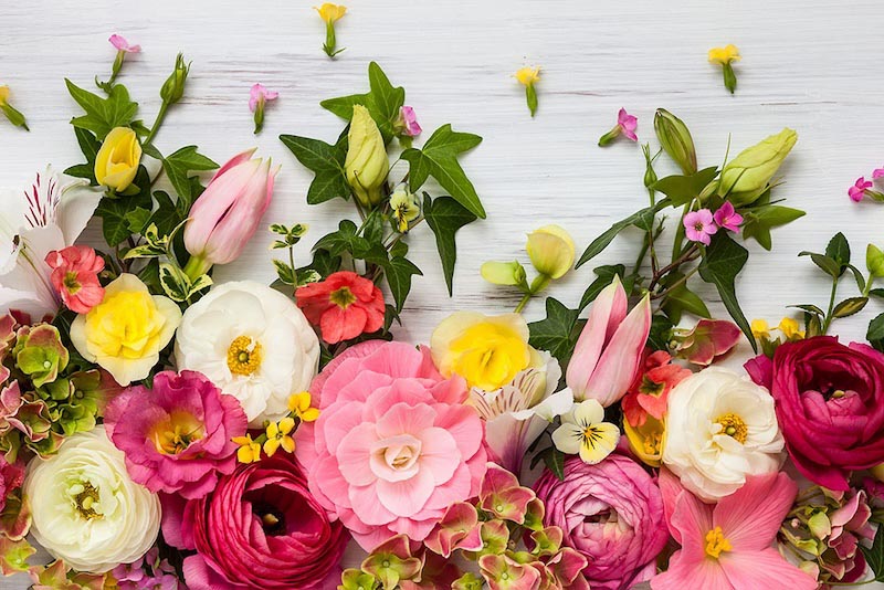 Exposition Florale wallpaper mural