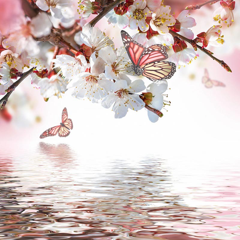 Fleur et Papillon wallpaper mural