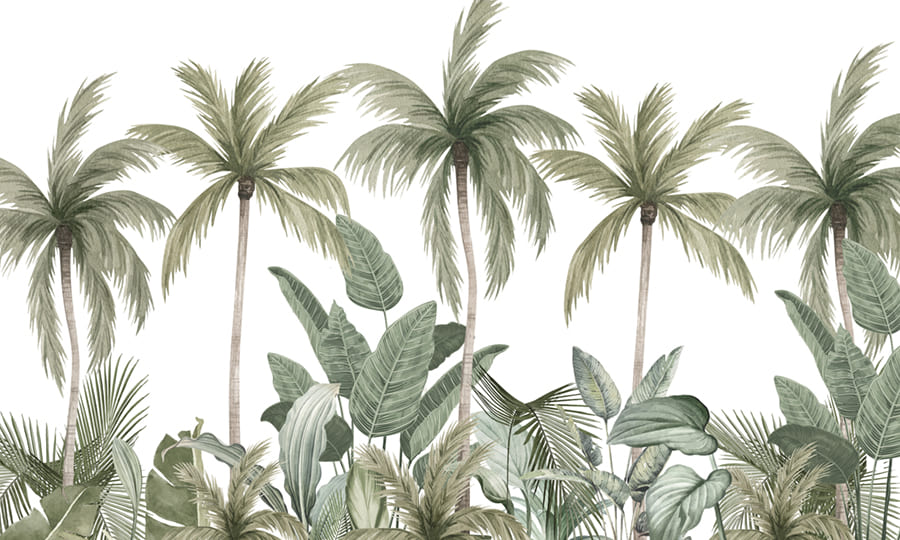 Feuilles de Palmier Botaniques wallpaper mural