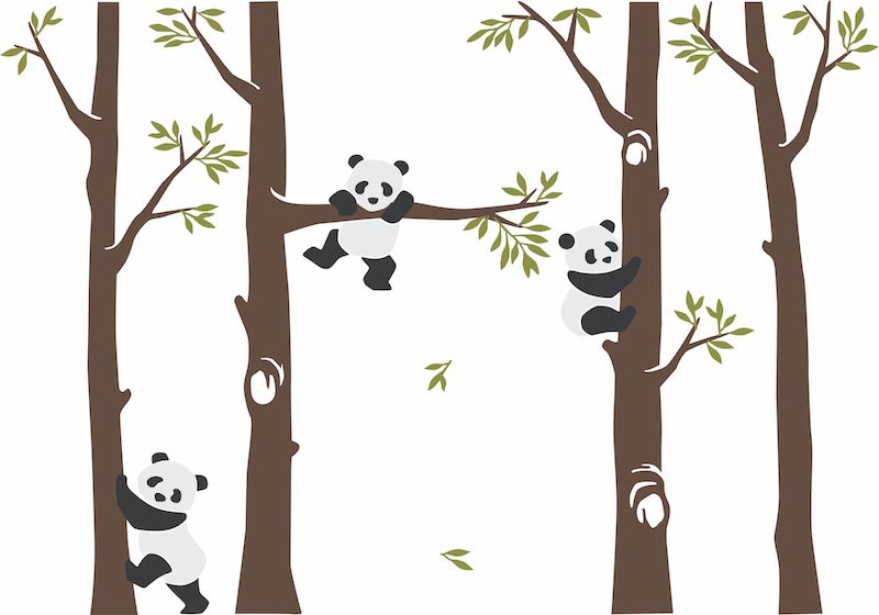 Panda dans la Forêt wallpaper mural