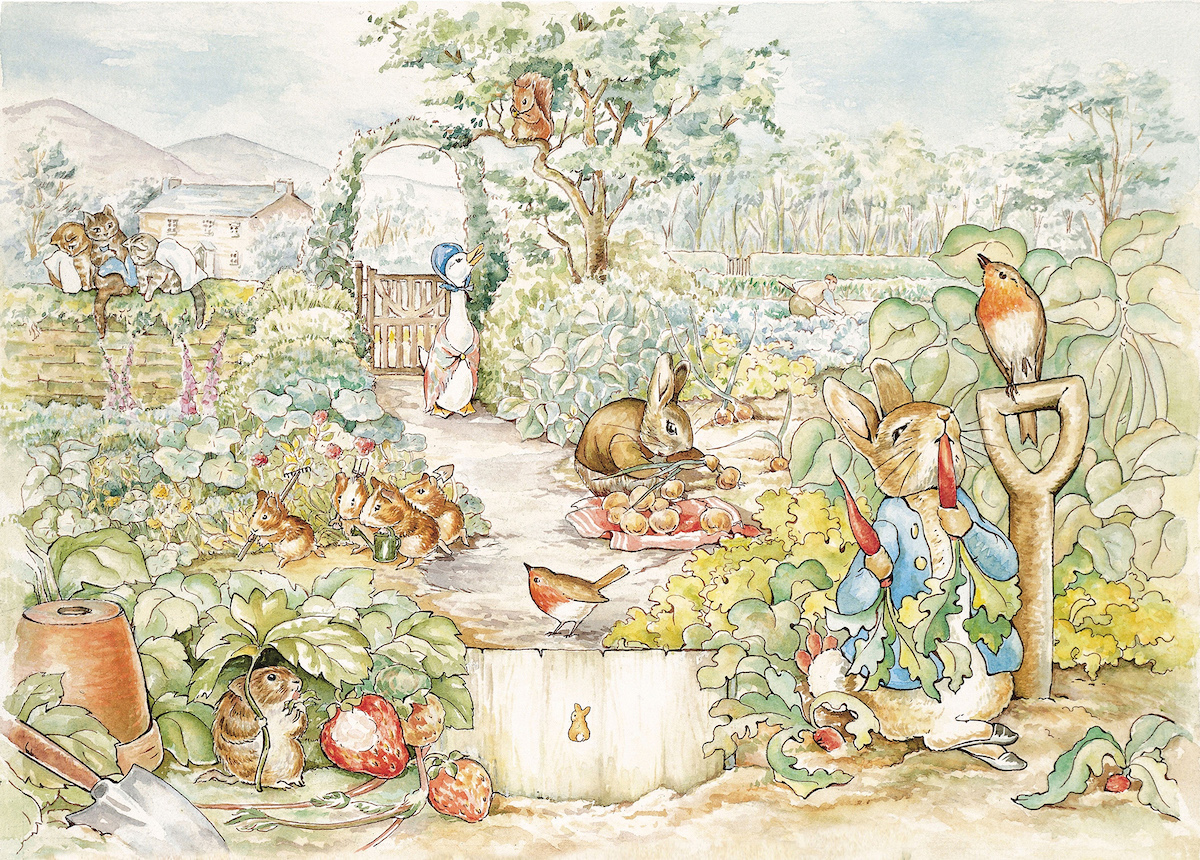 Peter Rabbit Pays des Merveilles wallpaper mural