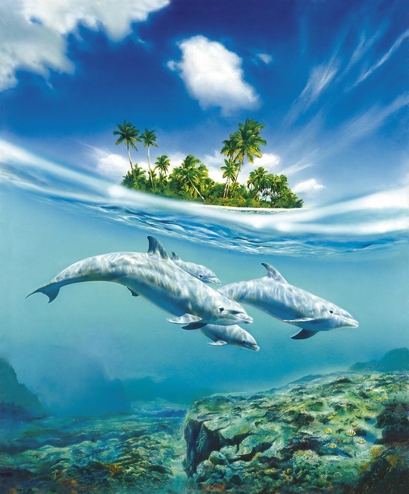 Dauphins en Liberté wallpaper mural