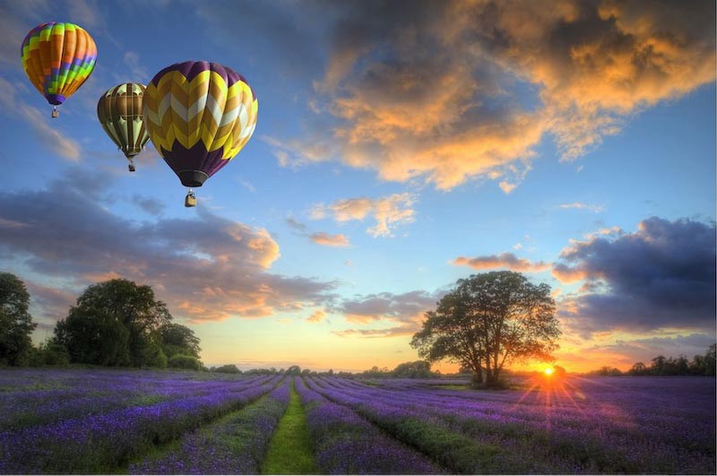 Danse des Ballons wallpaper mural