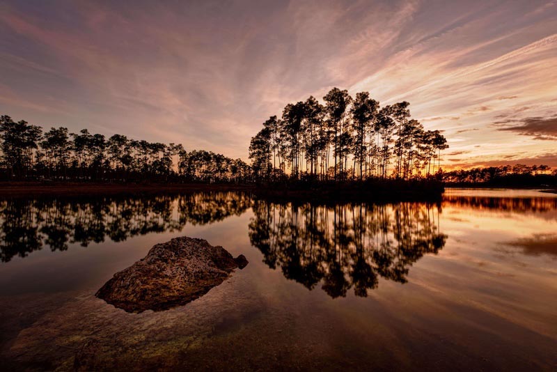 Réflexion de la Nature wallpaper mural
