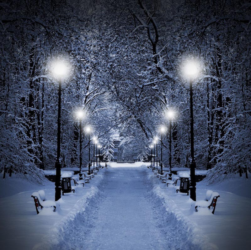 Neige Tombante wallpaper mural