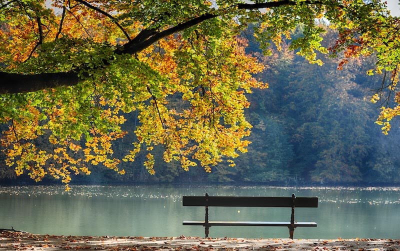 Paix sur le Banc wallpaper mural