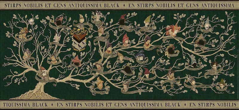 Harry Potter - L'Arbre généalogique de la famille Black wallpaper mural