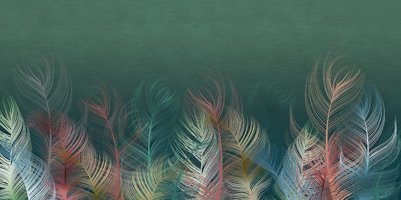 Paradis de plumes de paon wallpaper mural