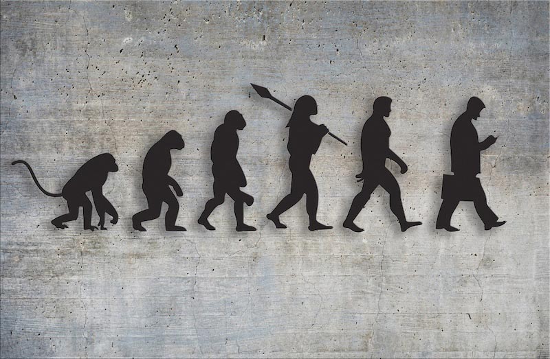 Voyage de l'évolution humaine - Anthropologie wallpaper mural