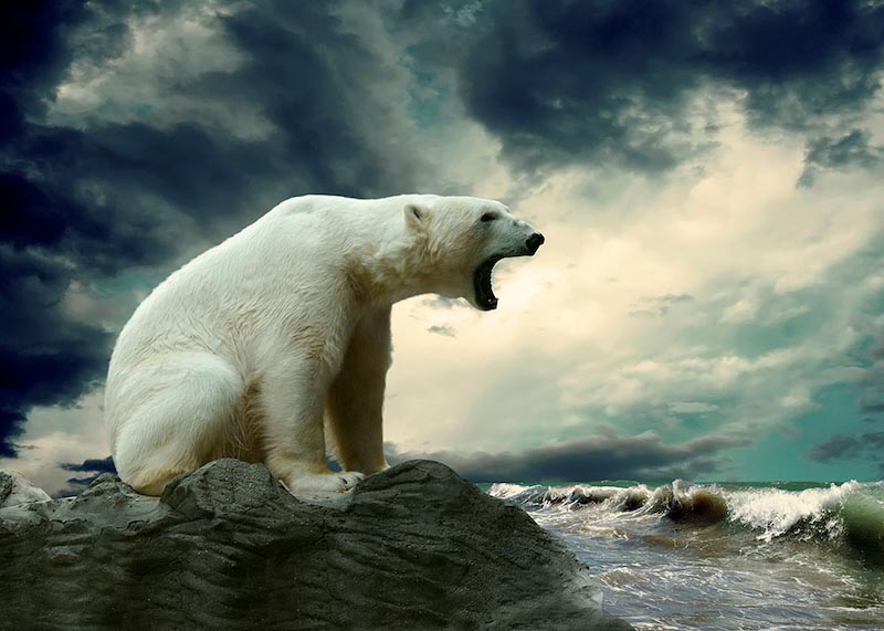 Réchauffement Climatique wallpaper mural