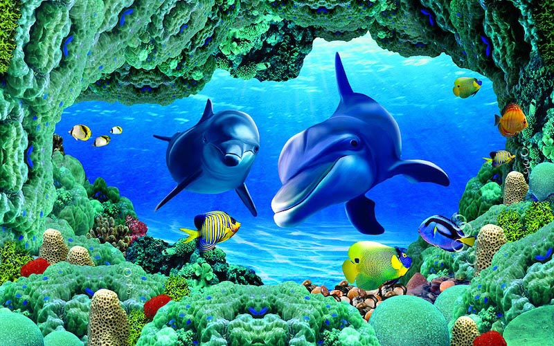 Dauphins Sous l’Eau wallpaper mural