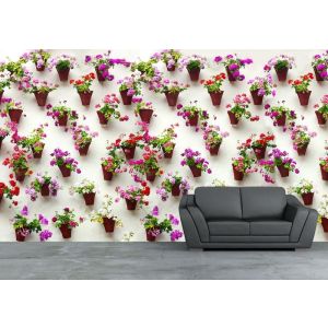 Pots de Fleurs sur le Mur