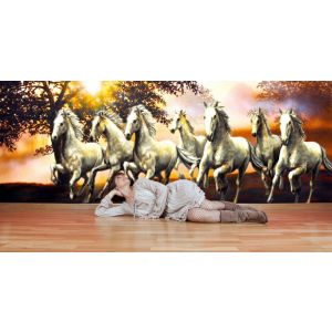 Sept Chevaux Libres