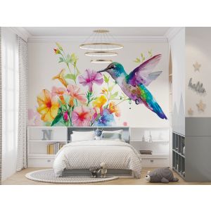 Colibri Coloré