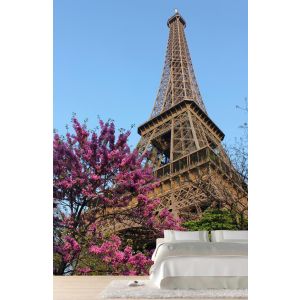 Fleurs à la Tour Eiffel