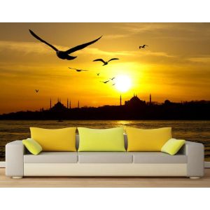Mouettes d'Istanbul