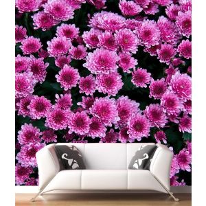 Fleurs Violettes
