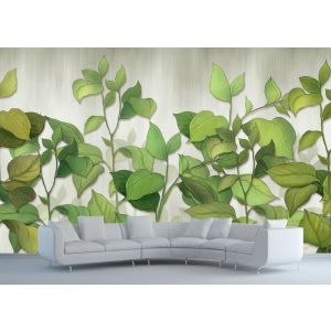 Plantes pour le Salon