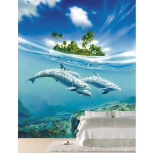 Dauphins en Liberté