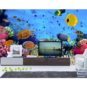 Aquarium