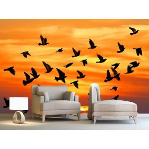 Les Oiseaux Arrivent en Automne