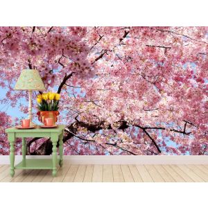 Je m’Appelle Printemps