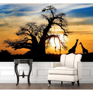 Safari au Coucher de Soleil
