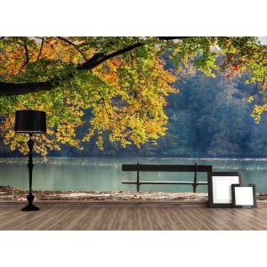 Paix sur le Banc
