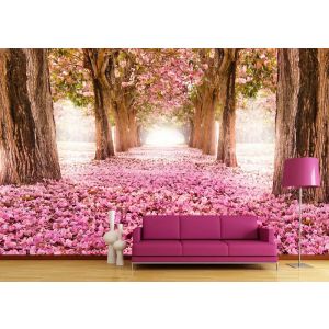 Cerise