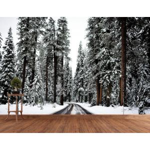 Voyage sous la Neige