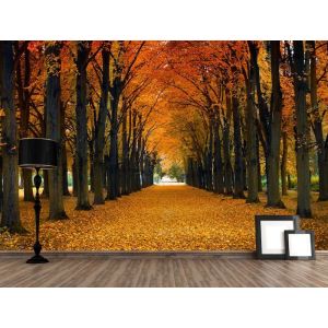Sentier d’Automne
