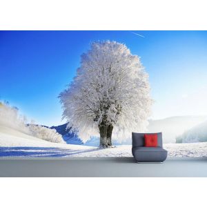 Arbre Spécial d’Hiver